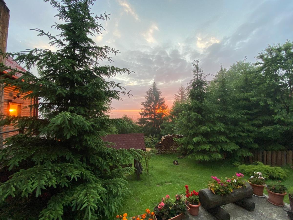 Carpathian Log Home Bran (Brasov) Exterior foto